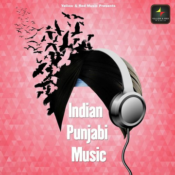 Indian Punjabi Music