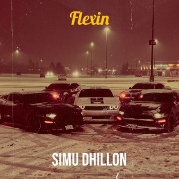 Flexin