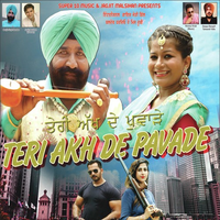 Teri Akh De Pavade