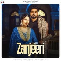 Zanjeeri