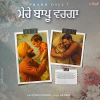 Mere Baapu Warga