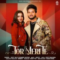 Tor Meri Te