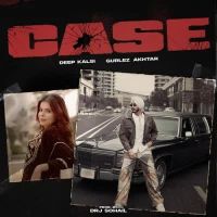 Case