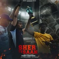 Sher Te Saan