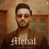 Mehal Zafar Brar