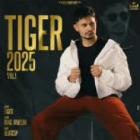 Tiger 2025 Vol 1