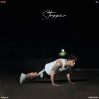 Stopper