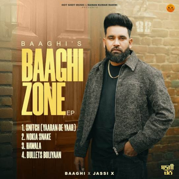 Baaghi Zone