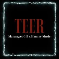 Teer