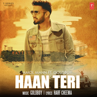 Haan Teri