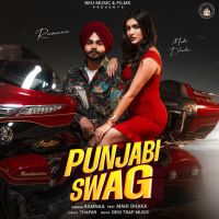 Punjabi Swag
