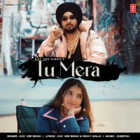Tu Mera