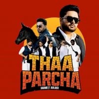 Thaa Parcha