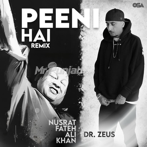 Peeni Hai Remix