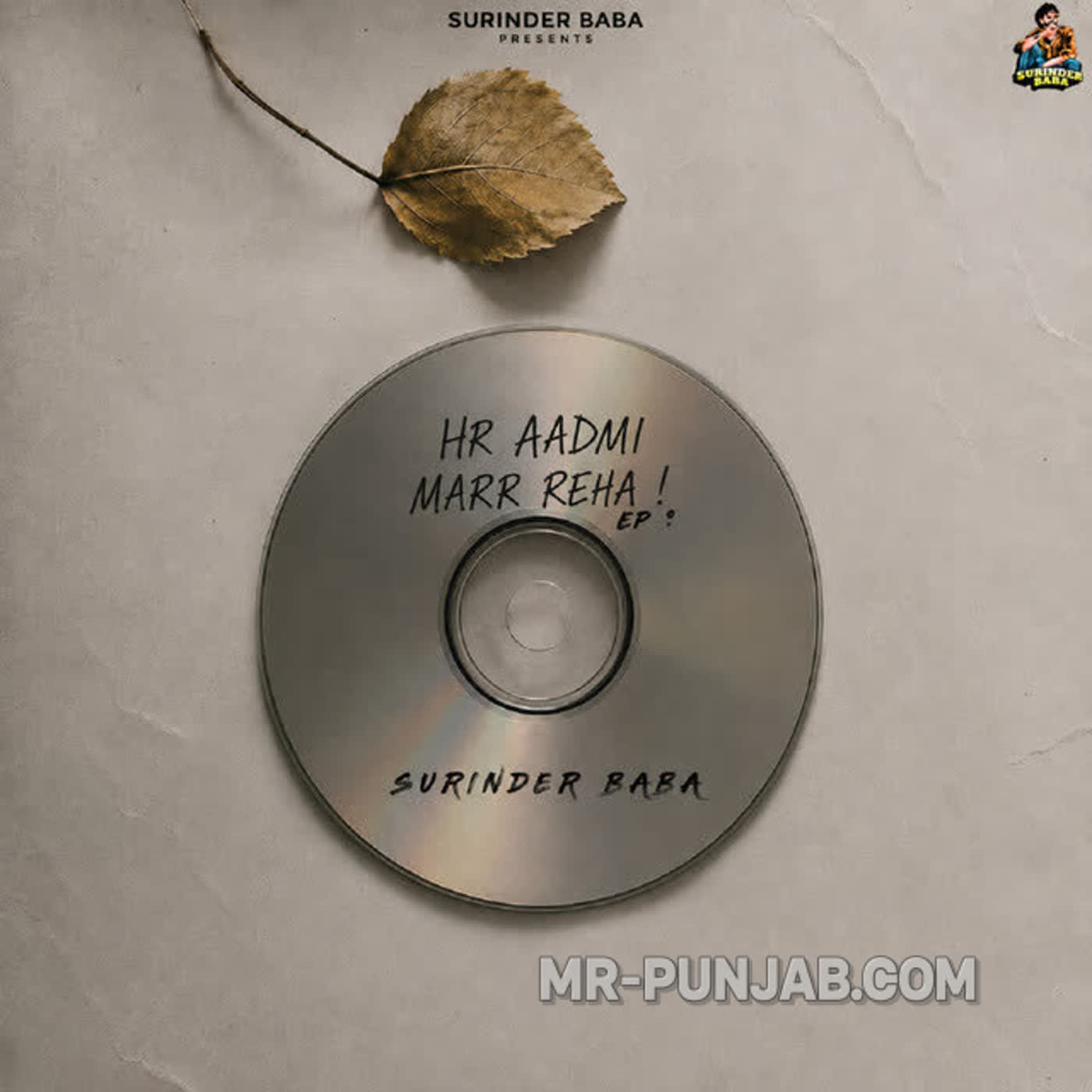 Hr Aadmi Marr Reha