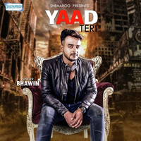 Yaad Teri