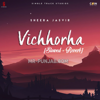 Vichhorha (Slowed & Reverb)