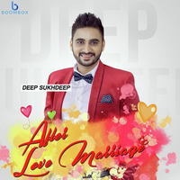 After Love Marriage
