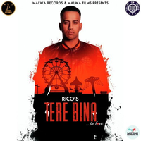 Tere Bina