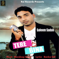Tere Bina