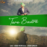 Tere Baare