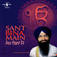 Sant Bina Main