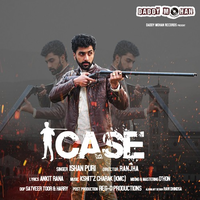 Case
