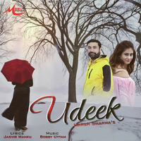 Udeek
