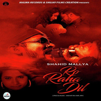 Ro Raha Dil