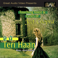 Teri Haan