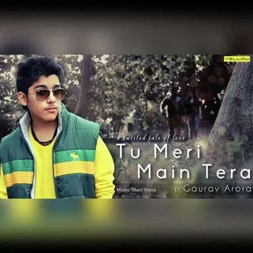 Tu Meri Mai Tera Gaurav Arora Mp3 Download Song - Mr-Punjab