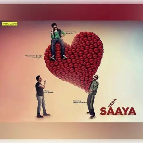 Tera Saaya Nitesh Mp3 Download Song - Mr-Punjab