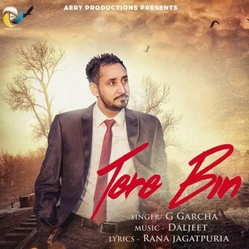 Tere Bin G. Garcha Mp3 Download Song - Mr-Punjab