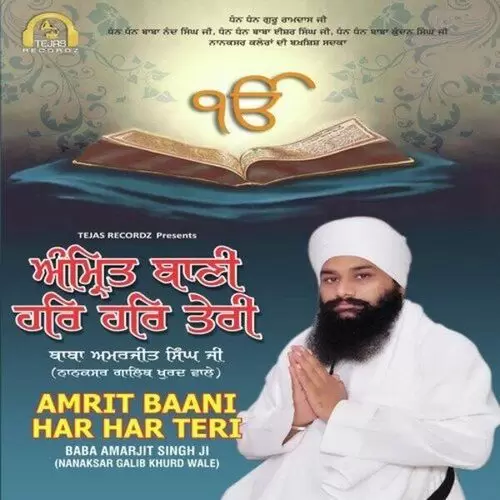 Amrit Baani Har Har Teri Baba Amarjit Singh Ji Nanaksar Galib Khurd Wale Mp3 Download Song - Mr-Punjab