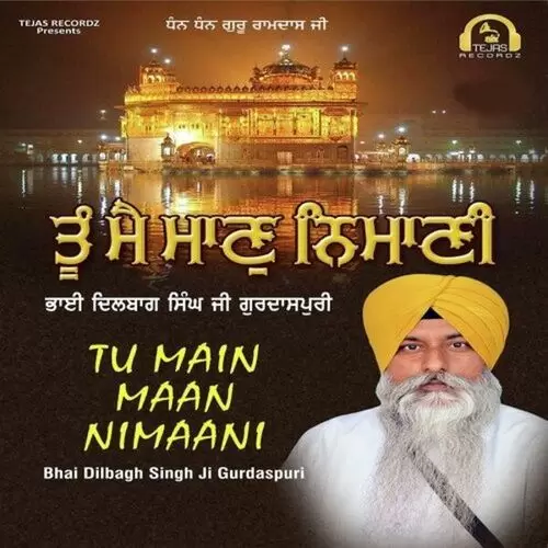 Tu Main Maan Nimaani Bhai Dilbagh Singh Ji Gurdaspuri Mp3 Download Song - Mr-Punjab