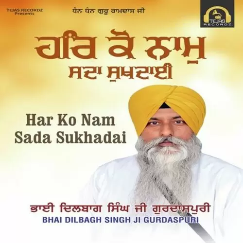 Har Ko Nam Sada Sukhadai Bhai Dilbagh Singh Ji Gurdaspuri Mp3 Download Song - Mr-Punjab