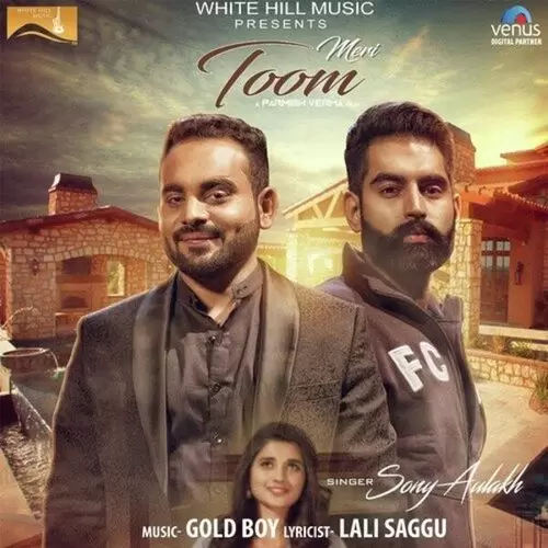 Meri Toom So Mp3 Download Song - Mr-Punjab