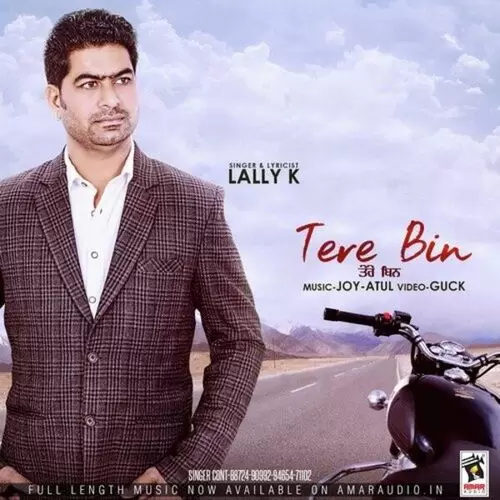 Tere Bin Lally K Mp3 Download Song - Mr-Punjab