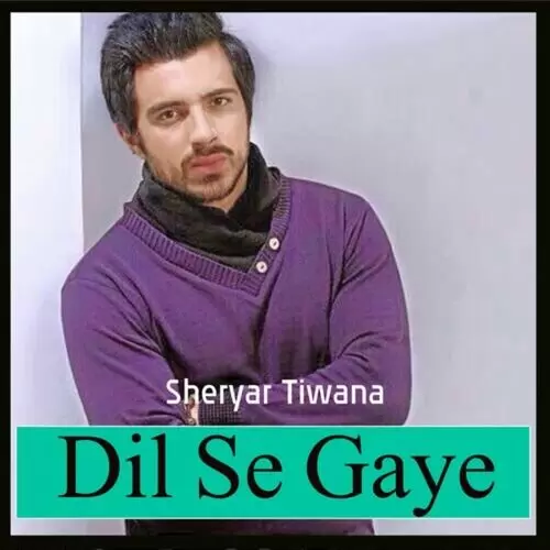 Dil Se Gaye Sheryar Tiwana Mp3 Download Song - Mr-Punjab