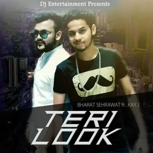 Teri Look Bharat Sherawa Mp3 Download Song - Mr-Punjab