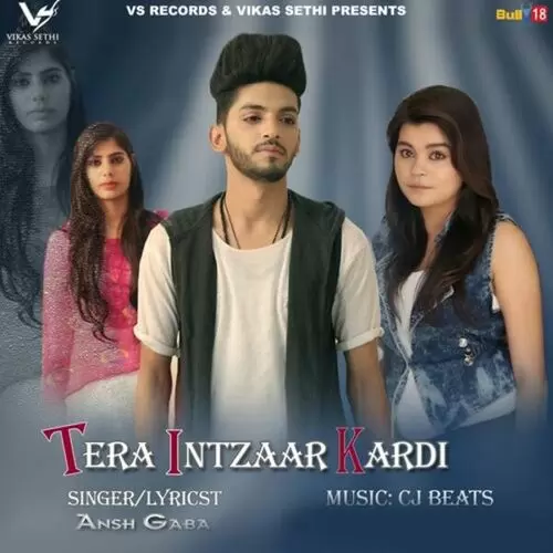 Tera Intzaar Kardi Ansh Gaba Mp3 Download Song - Mr-Punjab