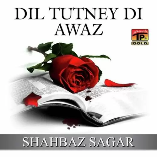 Dil Tutney Di Awaz Shehbaz Sagar Mp3 Download Song - Mr-Punjab