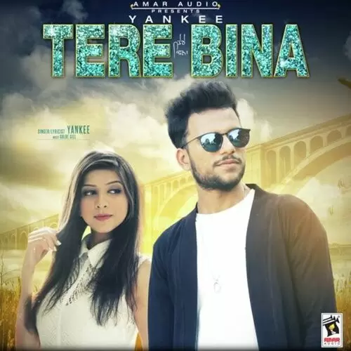 Tere Bina Yankee Mp3 Download Song - Mr-Punjab