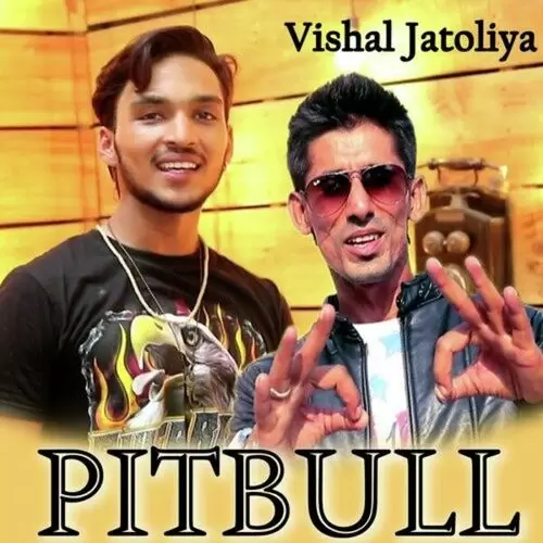 Pitbull Vishal JaToliya Mp3 Download Song - Mr-Punjab