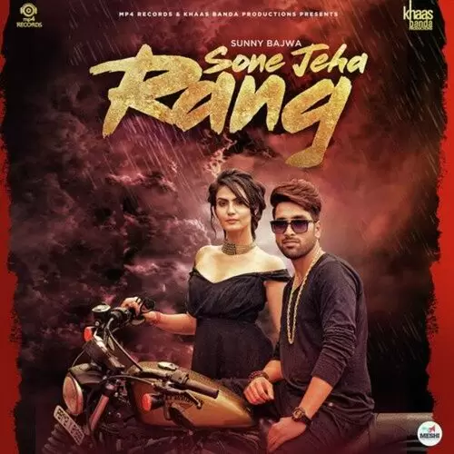 Sone Jeha Rang Sunny Bajwa Mp3 Download Song - Mr-Punjab