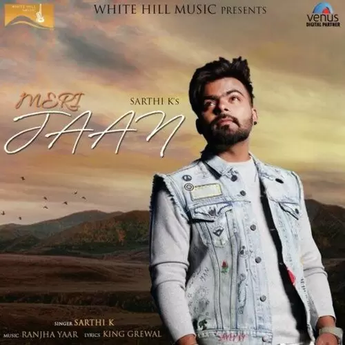 Meri Jaan Sarthi K Mp3 Download Song - Mr-Punjab
