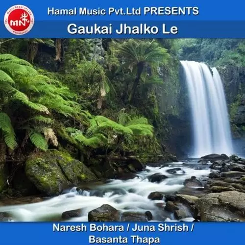 Gaukai Jhalko Le Naresh Bohara Mp3 Download Song - Mr-Punjab