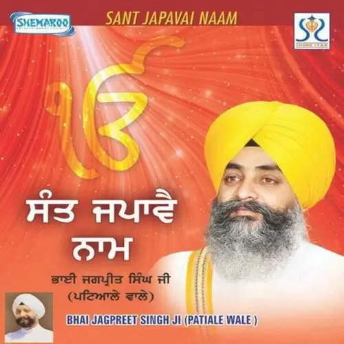 Sant Japavai Naam Bhai Jagpreet Singh Patiala Wale Mp3 Download Song - Mr-Punjab