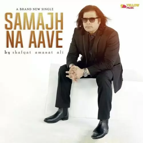 Samajh Na Aave Shafqat Amanat Ali Mp3 Download Song - Mr-Punjab
