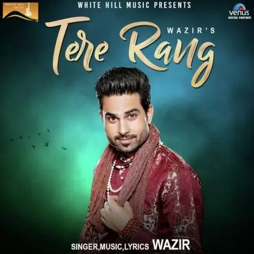 Tere Rang Wazir Mp3 Download Song - Mr-Punjab